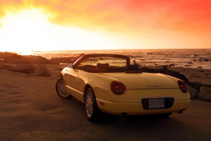  Ford Thunderbird 2002 года  (фото 114 из 161)